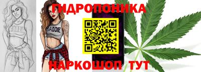 сатива Будённовск