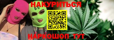 сатива Будённовск