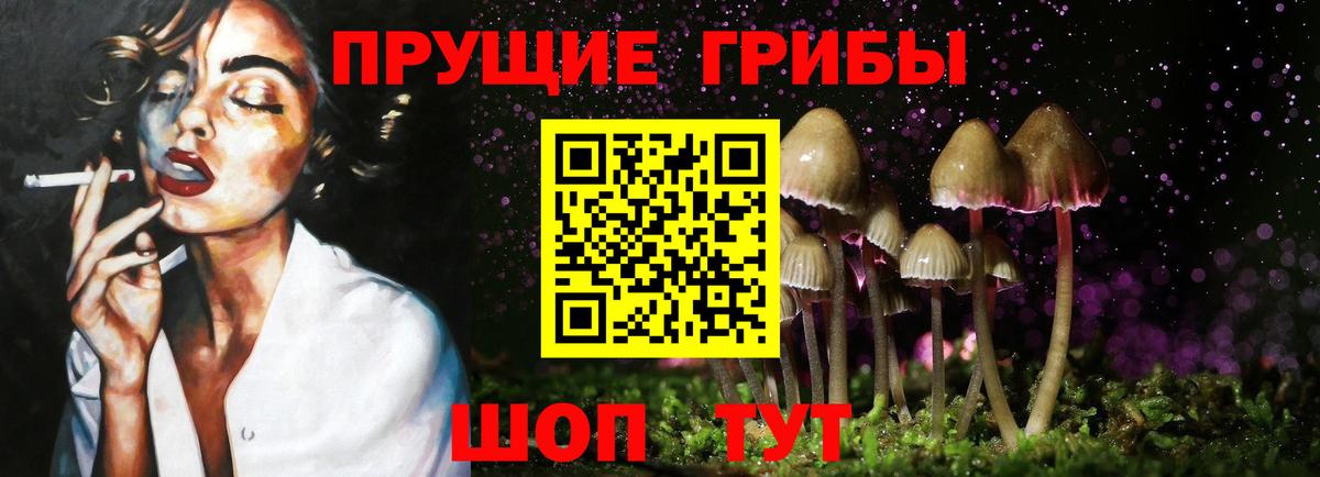 Галлюциногенные грибы прущие грибы Урай